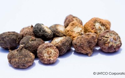 15 Easy Maca Powder Recipes You’ll Want to Try