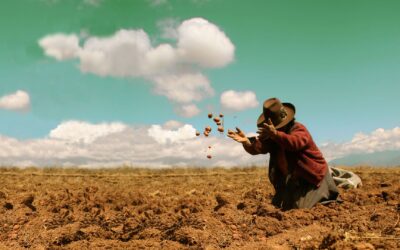 Meet Your Highness The Maca Root from Peru