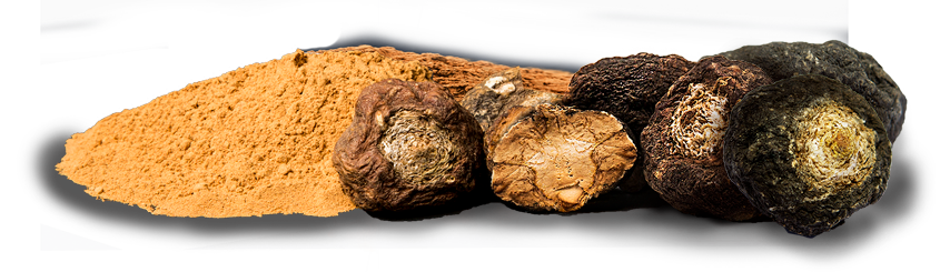Maca powder image home